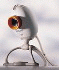 Philips ToUCam Pro
